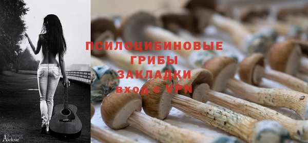 дживик Бородино