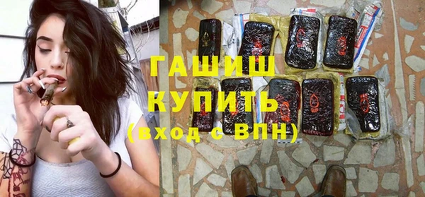 дживик Бородино
