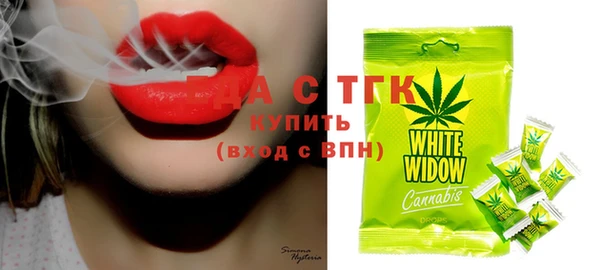 дживик Бородино