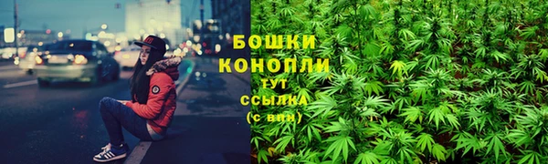 дживик Бородино