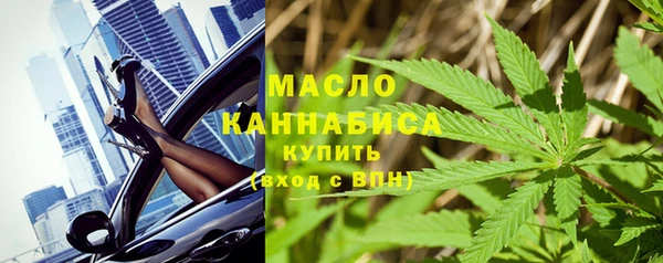 дживик Бородино