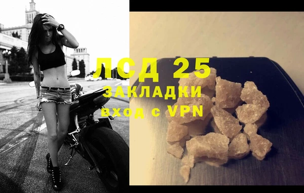 дживик Бородино