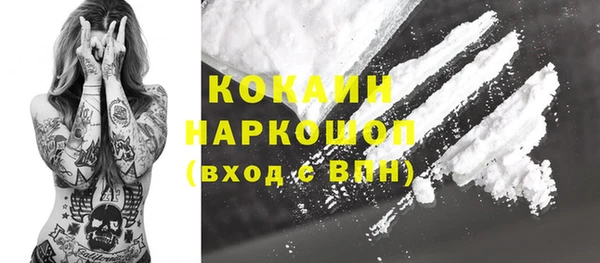 дживик Бородино