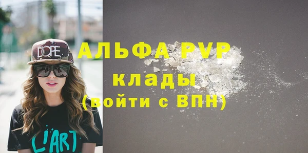 дживик Бородино