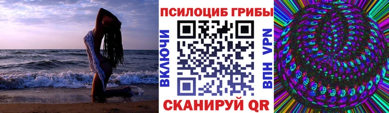 Галлюциногенные грибы Cubensis  Нюрба 